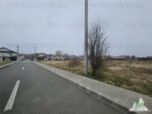 TEREN INTRAVILAN 1000 MP COSTINESTI - imagine 4 TEREN INTRAVILAN 1000 MP COSTINESTI - imagine 4