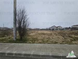 TEREN INTRAVILAN 1000 MP COSTINESTI - imagine 3 TEREN INTRAVILAN 1000 MP COSTINESTI - imagine 3