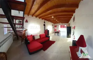 VILA SUPERBA AFACERE LA CHEIE COSTINESTI - imagine 14