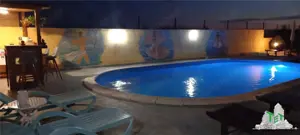 VILA CU PISCINA COSTINESTI - imagine 15