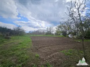 TEREN 3846 M TOPRAISAR - imagine 6