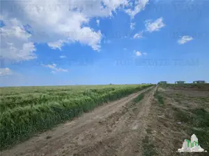 TEREN INTRAVILAN 50000 MP AGIGEA ZONA RO RO - imagine 9