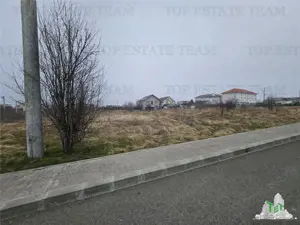 TEREN INTRAVILAN 1000 MP COSTINESTI - imagine 5 TEREN INTRAVILAN 1000 MP COSTINESTI - imagine 5