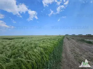 TEREN INTRAVILAN 50000 MP AGIGEA ZONA RO RO - imagine 8