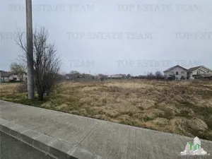 TEREN INTRAVILAN 1000 MP COSTINESTI