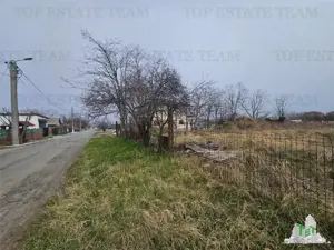 TEREN INTRAVILAN 910 MP TUZLA - imagine 5