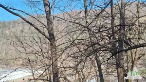 Teren Unic în Tarcau - Oportunitate pentru afacere cu potential turistic!