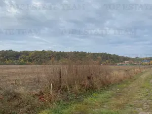 Teren cu deschidere la padure