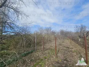 Teren 2400mp stradal + casa batraneasca in Mihai Voda Giurgiu - imagine 2