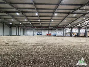 Hala Industriala Balotesti - Spatiu Generos si Accesibilitate Excelenta