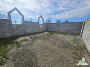 Teren 2400mp stradal + casa batraneasca in Mihai Voda Giurgiu - imagine 3