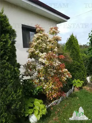 Casa individuala cu 4 camere in Corbu Constanta liniste natura mare si lac - imagine 16