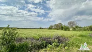 Teren intravilan de vanzare Comuna Ganeasa - imagine 2