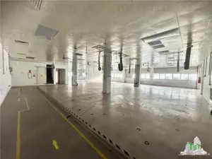 Spatiu industrial de inchiriat Central    Vitan