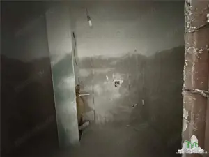 Duplex de inchiriat  Spatiu comercial   Rezidential + parcare subterana in zona Budapesta - imagine 6