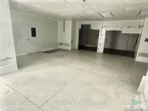 Spatiu industrial de inchiriat Central    Vitan