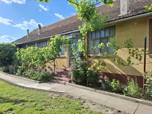 Casa 5 camere cu teren generos in Seitin judetul Arad - imagine 5