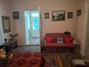 Casa 5 camere cu teren generos in Seitin judetul Arad - imagine 13