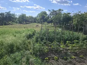 Casa 5 camere cu teren generos in Seitin judetul Arad - imagine 20