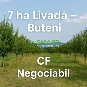 Teren 7 ha. livada Buteni, Jud. Arad CF, acces drum.
