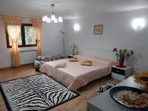 Casa de vânzare Petrești  - imagine 5