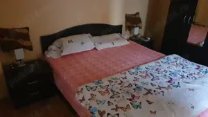 Vand urgent casa la curte  - langa statia de metrou Piata Muncii !!! - imagine 4