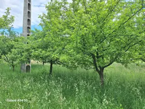 De vanzare casa si gradina 2782 mp  in Rebrisoara  - imagine 6