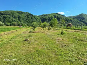 De vanzare casa si gradina 2782 mp  in Rebrisoara  - imagine 4