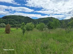 De vanzare casa si gradina 2782 mp  in Rebrisoara  - imagine 5