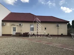 Casa individuala cu 4 camere, 729 mp teren, zona Elisabetin - imagine 14