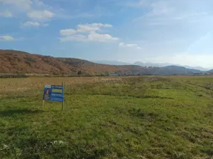 Teren de vanzare pentru constructii case 1 hectar