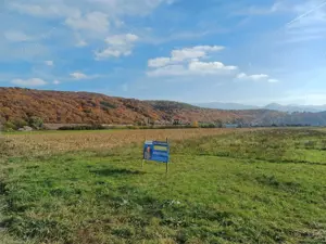 Teren de vanzare pentru constructii case 1 hectar - imagine 6