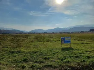 Teren de vanzare pentru constructii case 1 hectar - imagine 5