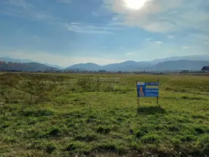 Teren de vanzare pentru constructii case 1 hectar - imagine 2