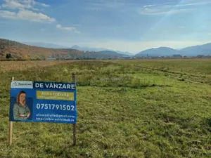 Teren de vanzare pentru constructii case 1 hectar - imagine 3