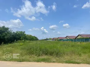 Teren intravilan, Balotești, Strada Cameliei 36, 10.000 mp - imagine 5