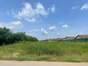 Teren intravilan, Balotești, Strada Cameliei 36, 10.000 mp - imagine 2