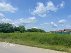 Teren intravilan, Balotești, Strada Cameliei 36, 10.000 mp - imagine 3