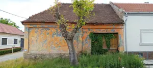 Casa in Moldova Veche - imagine 3