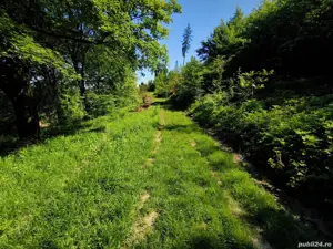 Teren intravilan deosebit - Cristian. - imagine 11