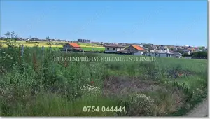 Teren intravilan de vanzare in Lazu 5000mp - imagine 3