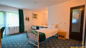 Complex turistic cu traditie,integrat in circuit, Rezervatia Naturala Piata Craiului - imagine 17