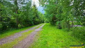 In cartea de povesti a Pietrei Craiului, ansamblu turistic in circuit,Plaiul Foii - imagine 5