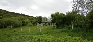 Teren intravilan | Budiu Mic | 994 mp - imagine 4