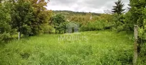 Teren intravilan | Budiu Mic | 994 mp - imagine 2