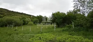 Teren intravilan | Budiu Mic | 994 mp - imagine 5