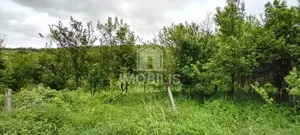 Teren intravilan | Budiu Mic | 994 mp - imagine 3