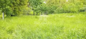 Teren intravilan | Budiu Mic | 994 mp - imagine 7