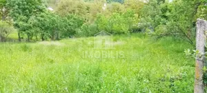 Teren intravilan | Budiu Mic | 994 mp - imagine 6