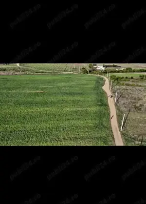 Vând teren extravilan Dr.Tr.Severin